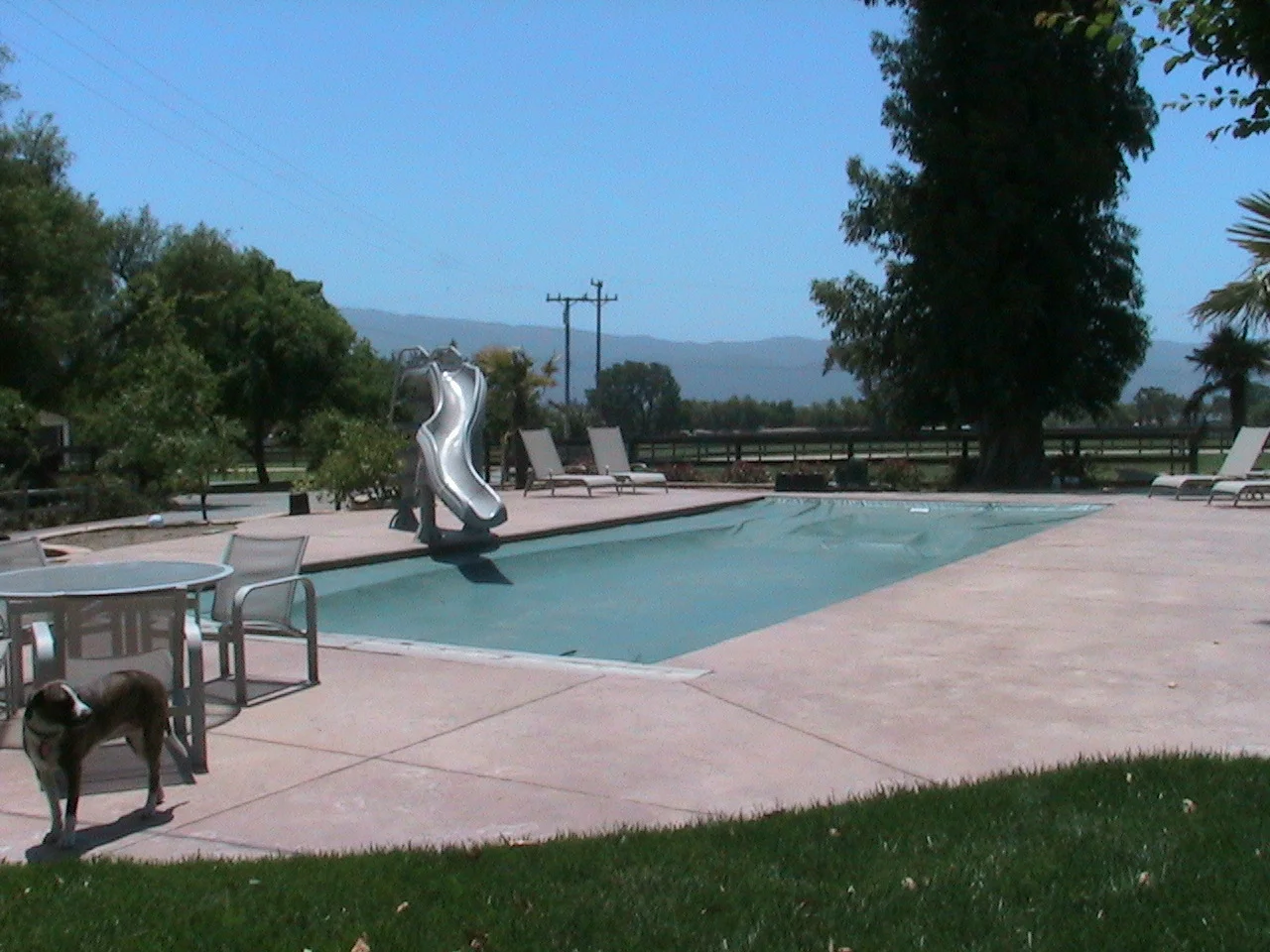 Pool Cover