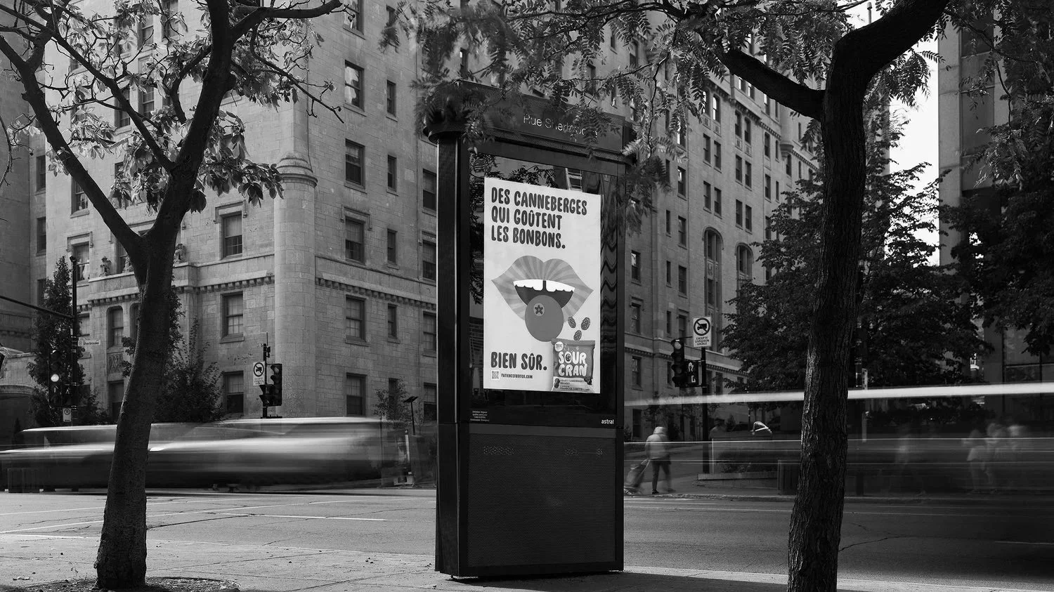 lafamille-patience-sourcran-campagne-abribus5 - copie.jpg