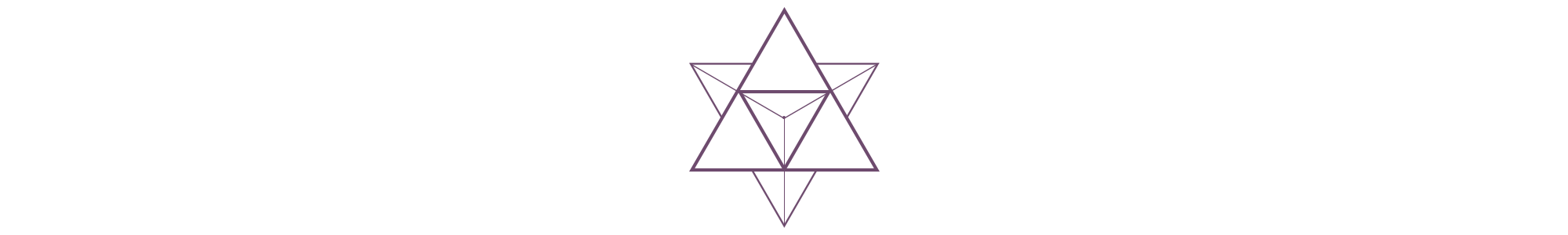 Website Marakaba Divider dk purple.png
