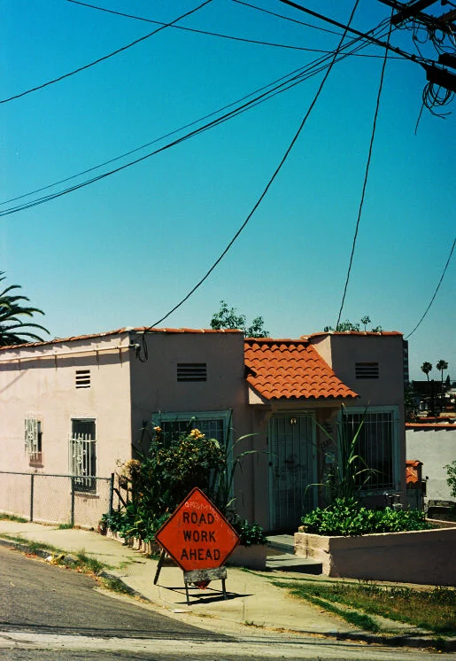 PinkHouse copy.jpg
