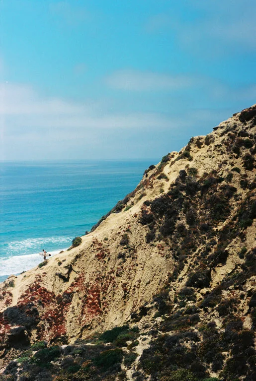 SurferBlacksBeach copy.jpg