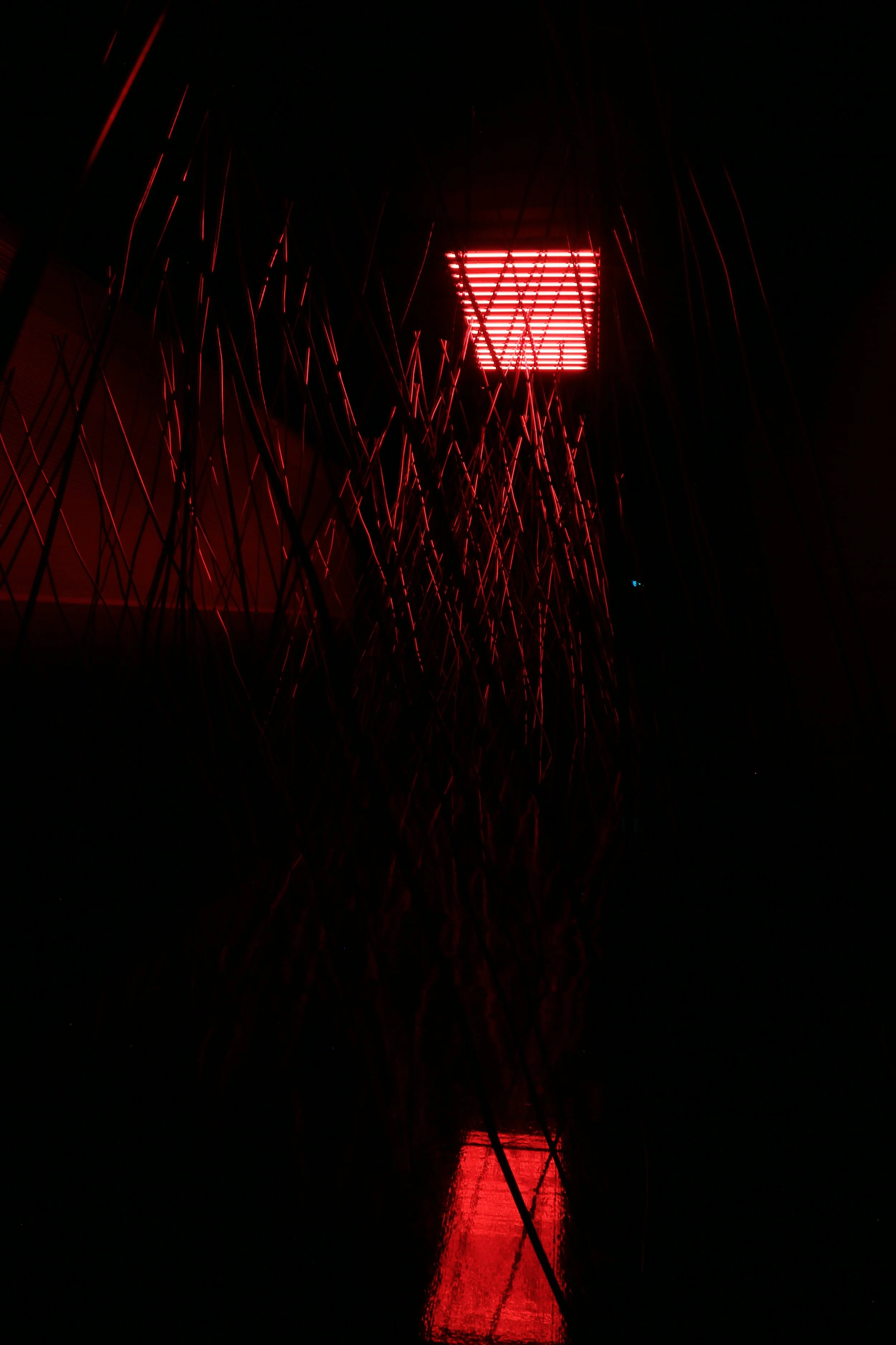  K20 Kunstsammlung Nordrhein-Westfalen, Düsseldorf, Germany, 2013 