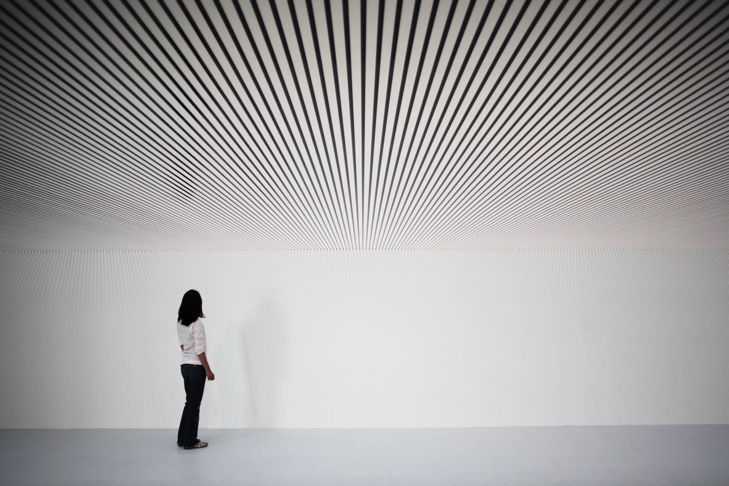 Contemporary Art Centre, Vilnius, Lithuania, 2007