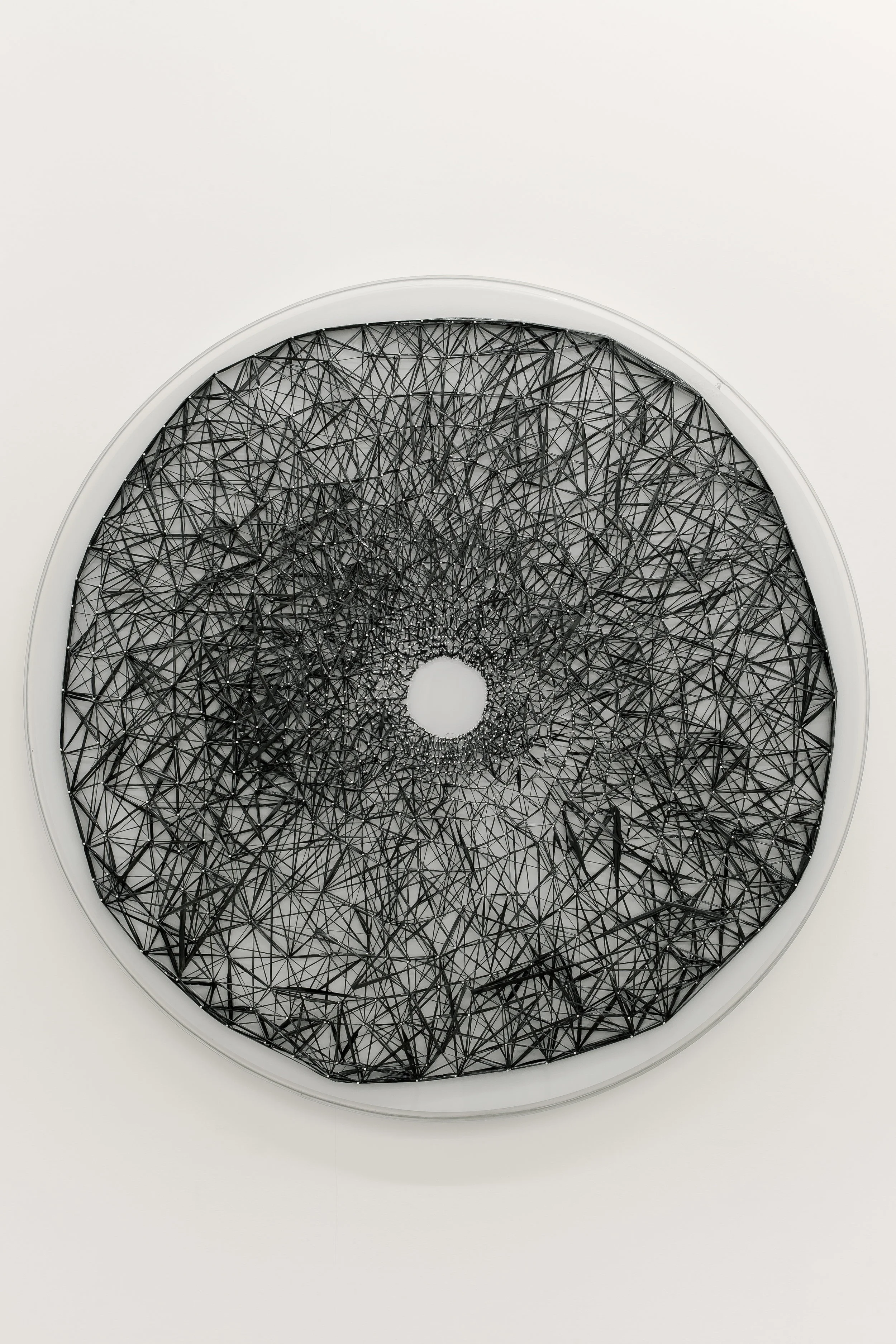 Maia, 2011