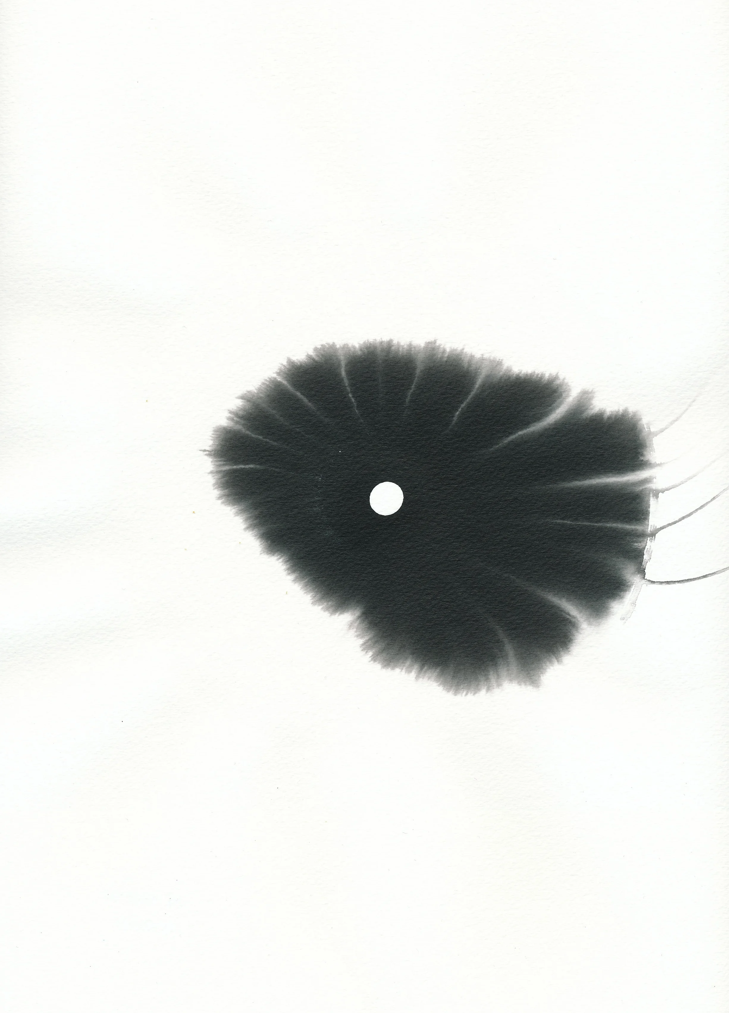 Fan Drawing 20101126-1