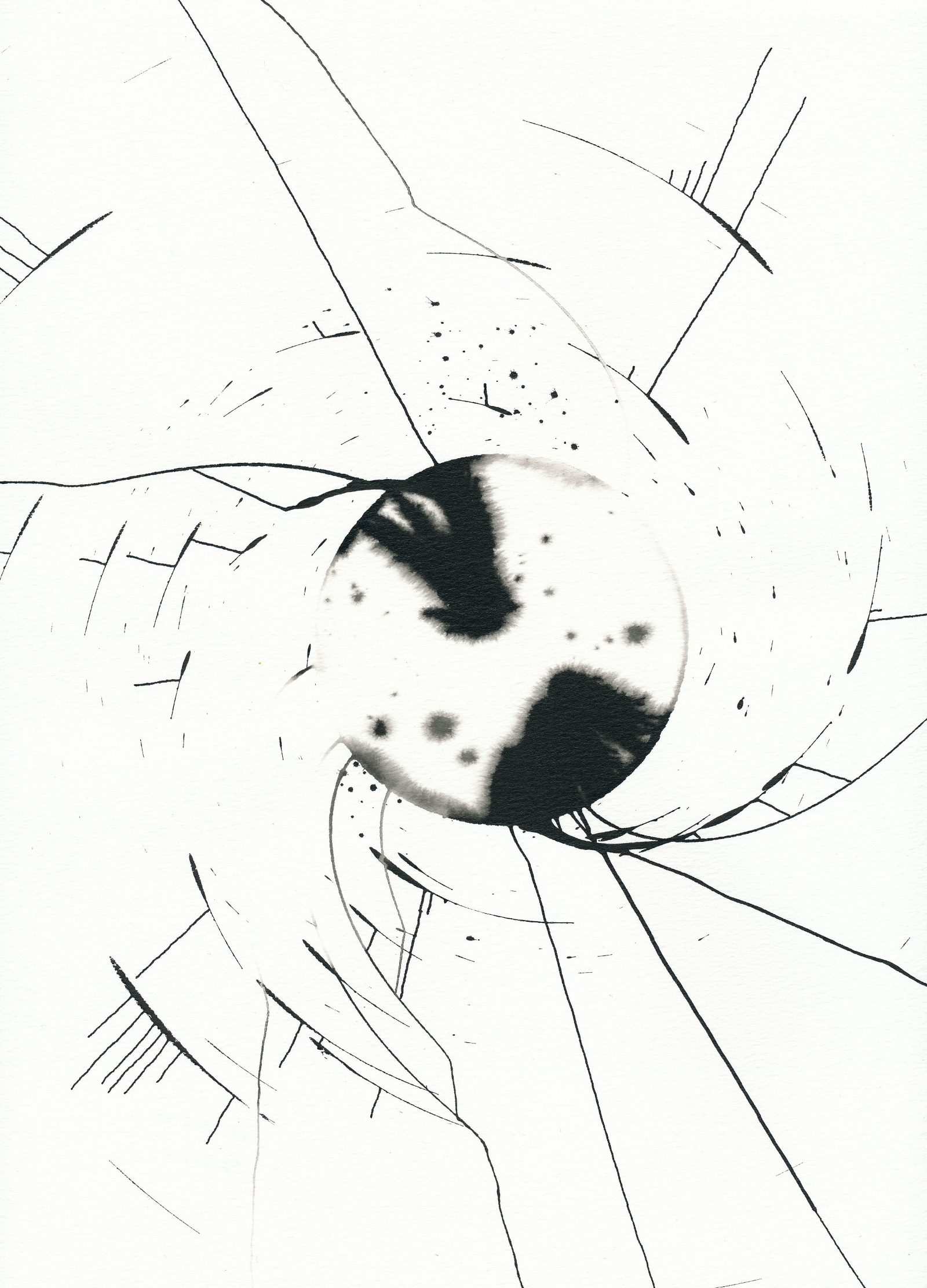Fan Drawing 20101115-2
