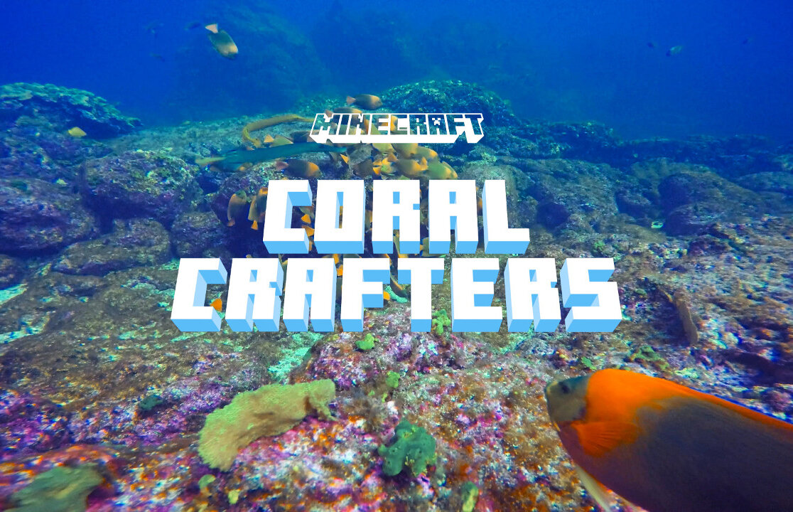 Minecraft: Coral Crafters — Nicole De Rosa
