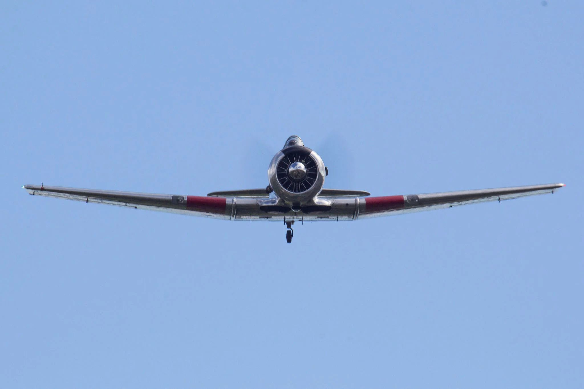 T6.jpg