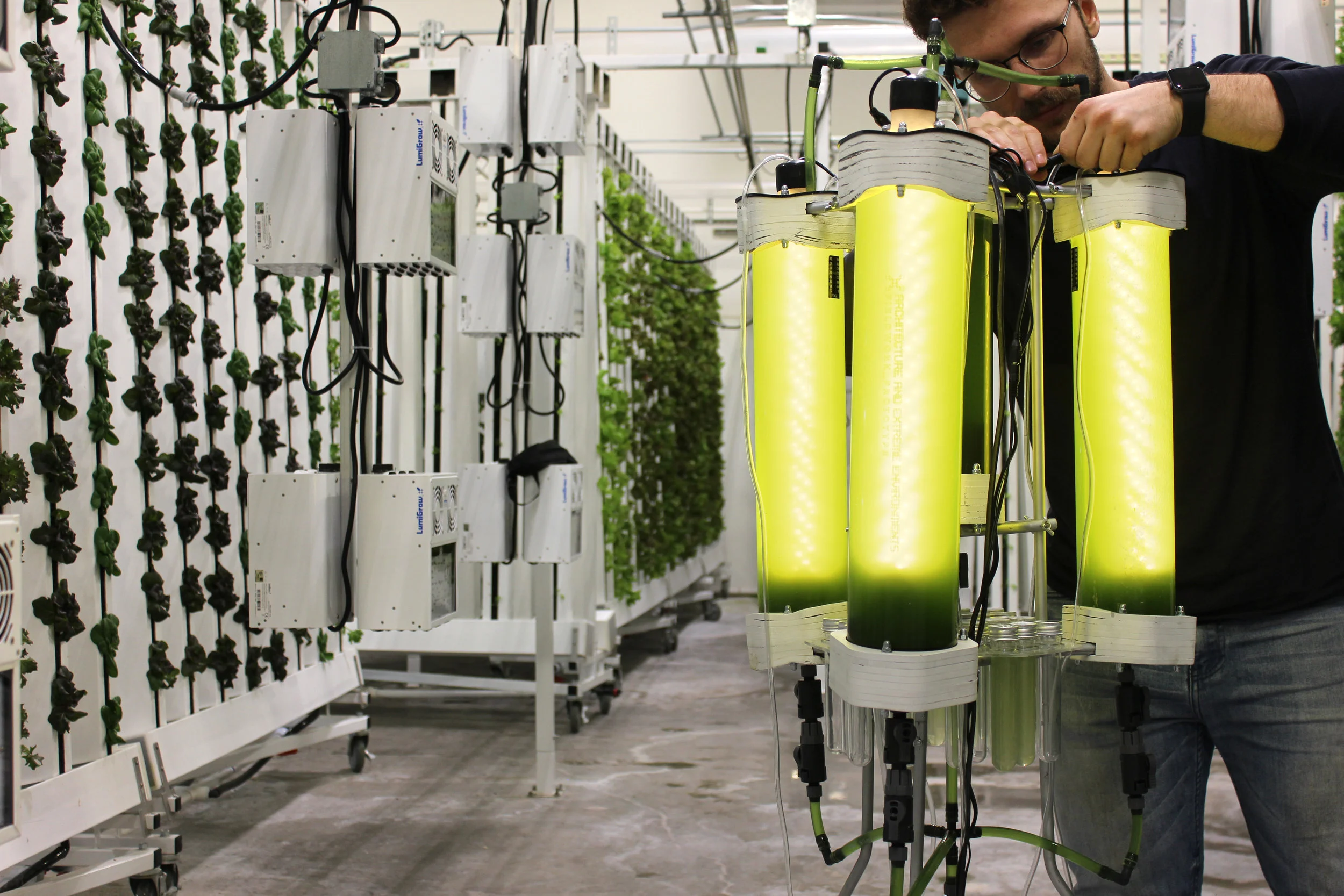 Tiago Vasconcelos - Tiago-Vasconcelos-03-Photobioreactor lighting cycle start (1).jpg