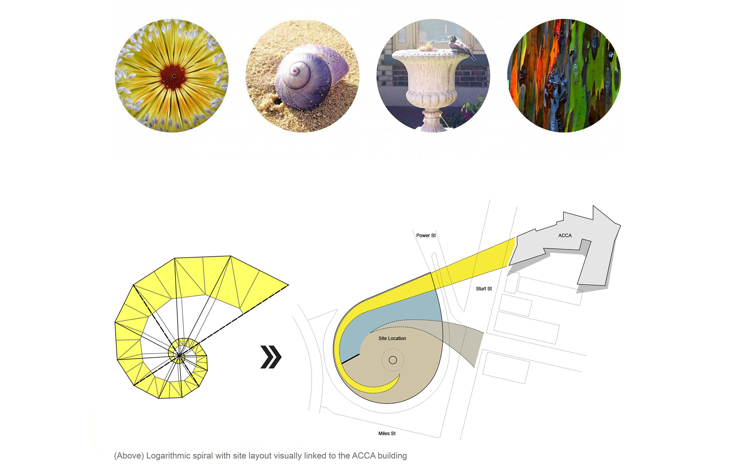 Dan Whelan - dan-whelan-thearchiologist-1.png