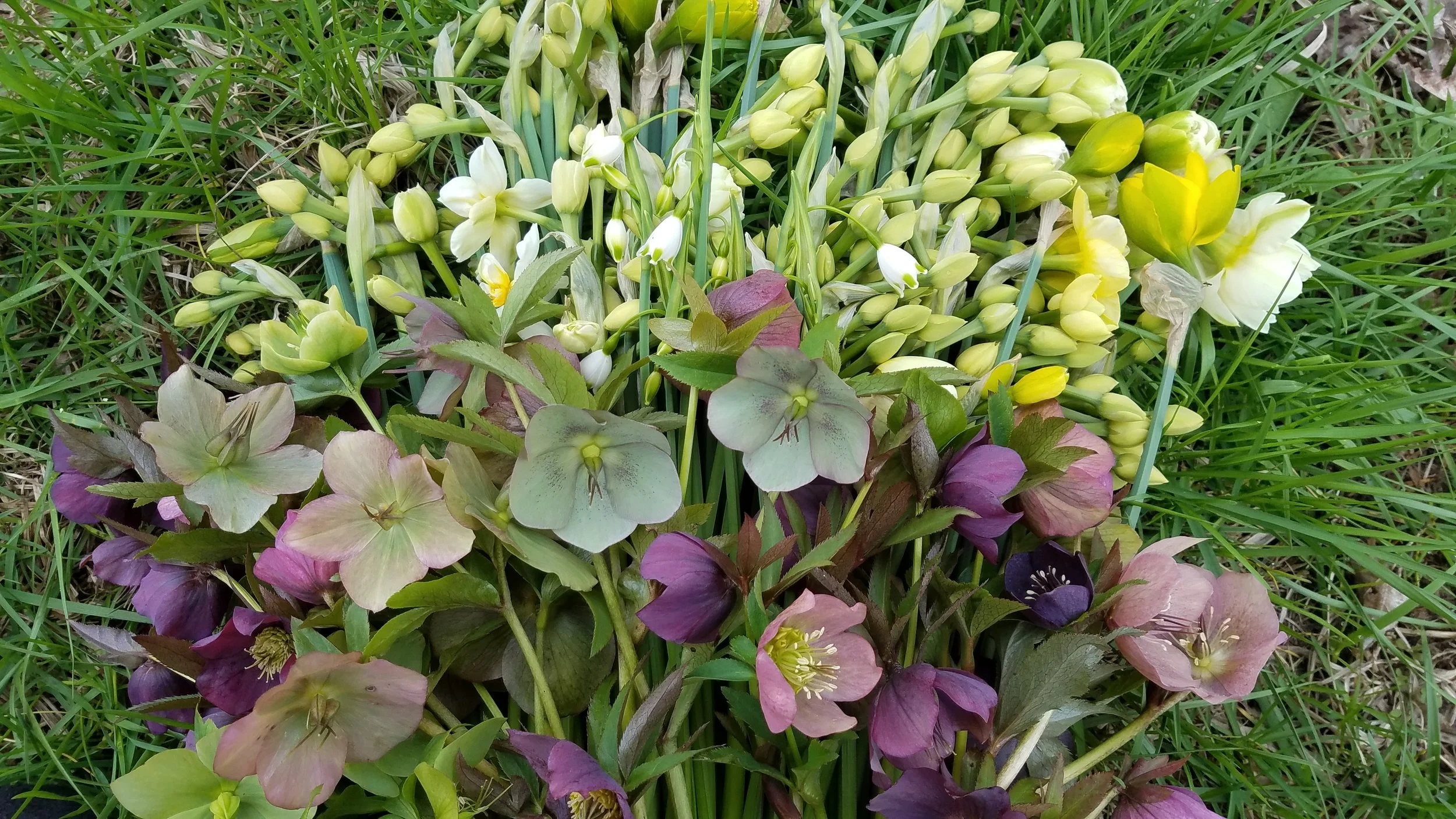 20170505_100630.jpg