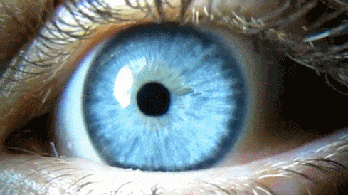 blue eye.gif