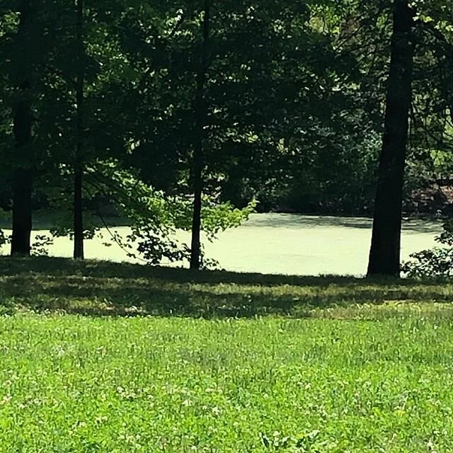 Sitting under a huge shade tree  enjoying Central Park! #relax #ilovenewyork #mentalhealthmatters #selfcare