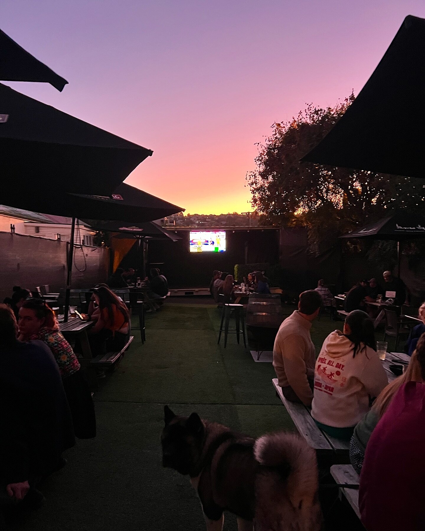 Fairy floss skies to cheer on the @jackjumpers tonight 🏀 

#sportieshotel #sportsbar #jackjumpers