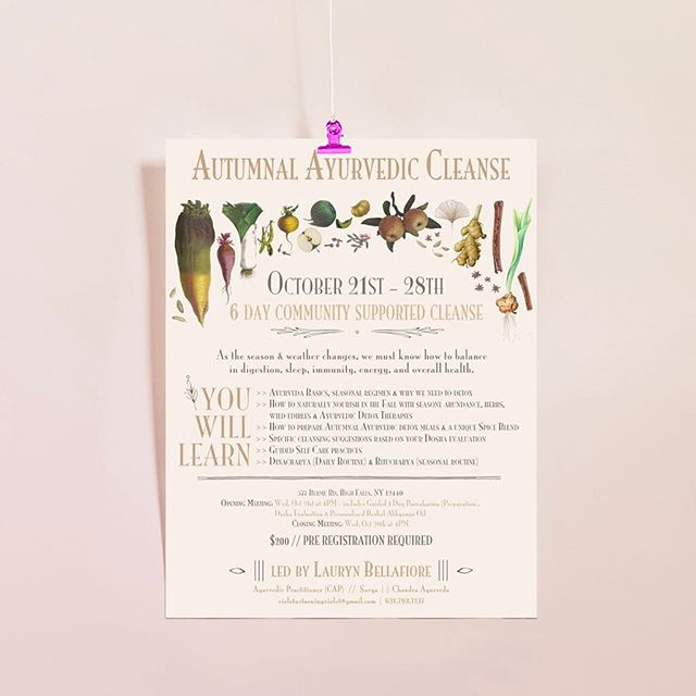 Working on building out my site + organizing my design portfolio. Here&rsquo;s a flyer I created for @laurynbellafiore's Autumnal Ayurvedic Cleanse a couple years back to help the community hit reset on the ojas ✨🍠🍶🍂
.
.
I love working for local b