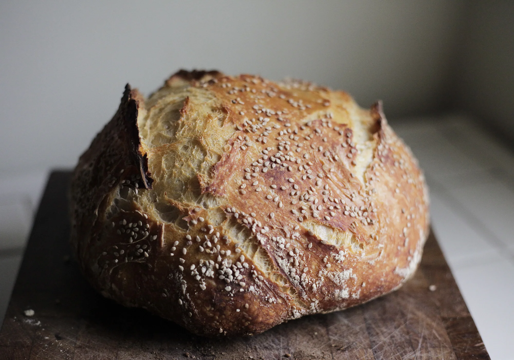 Seriously Simple No Knead Wild Fermented Sourdough Bread
