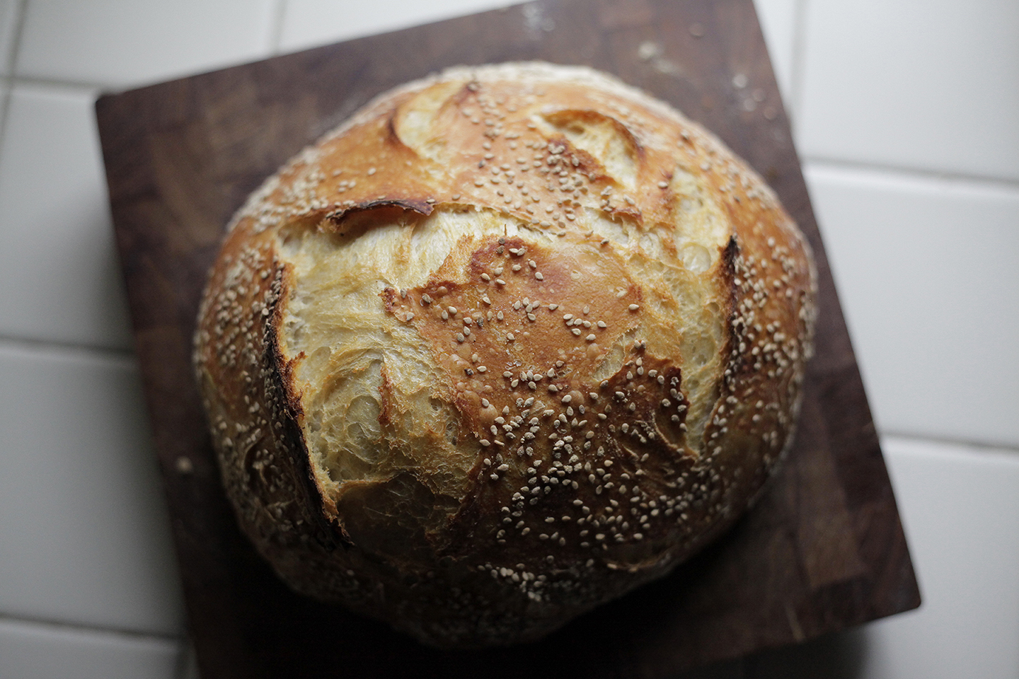 Rustic Sourdough Bread Recipe – Fermentation