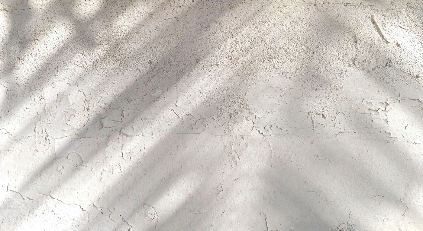 Bea-Rue-Professional-Photographer-Hudson-Valley-Wedding-NY-Rustic-Palm-Shadows.jpg