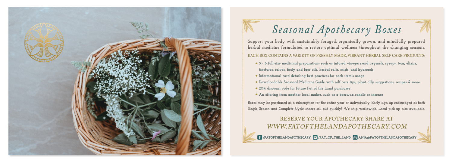 Bea+Rue+Hudson+Valley+NY+Conscious+Businesses+Graphic+Design+Website+Building+Apothecary+Promo+Card+landscape.png