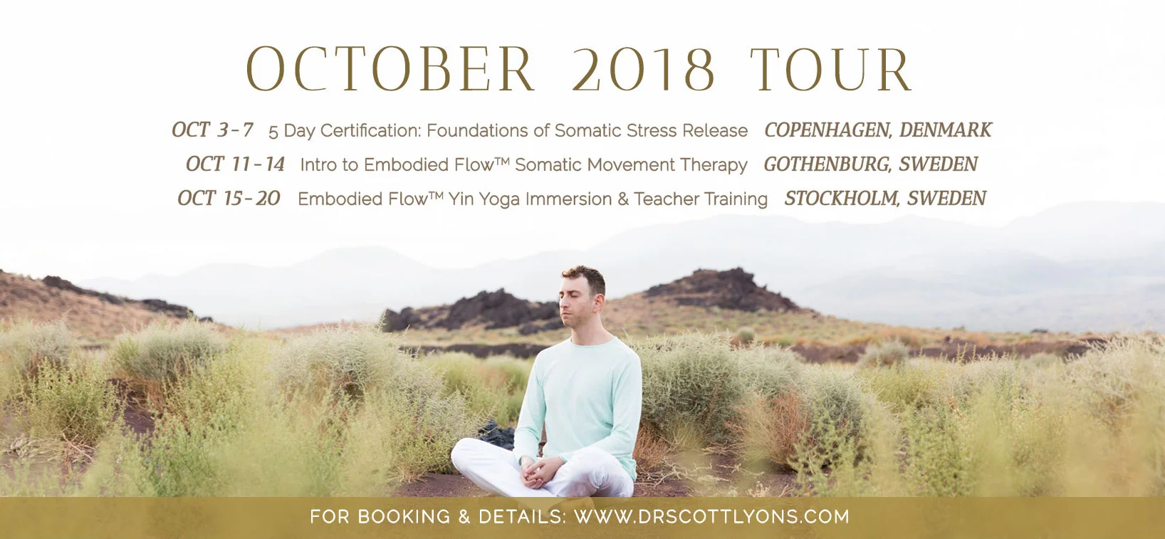 Embodied Flow Dr Scott Lyons Social Media Promo Facebook Cover Photo Graphic Design for Yoga Studios Designer Bea Rue Studios.jpg