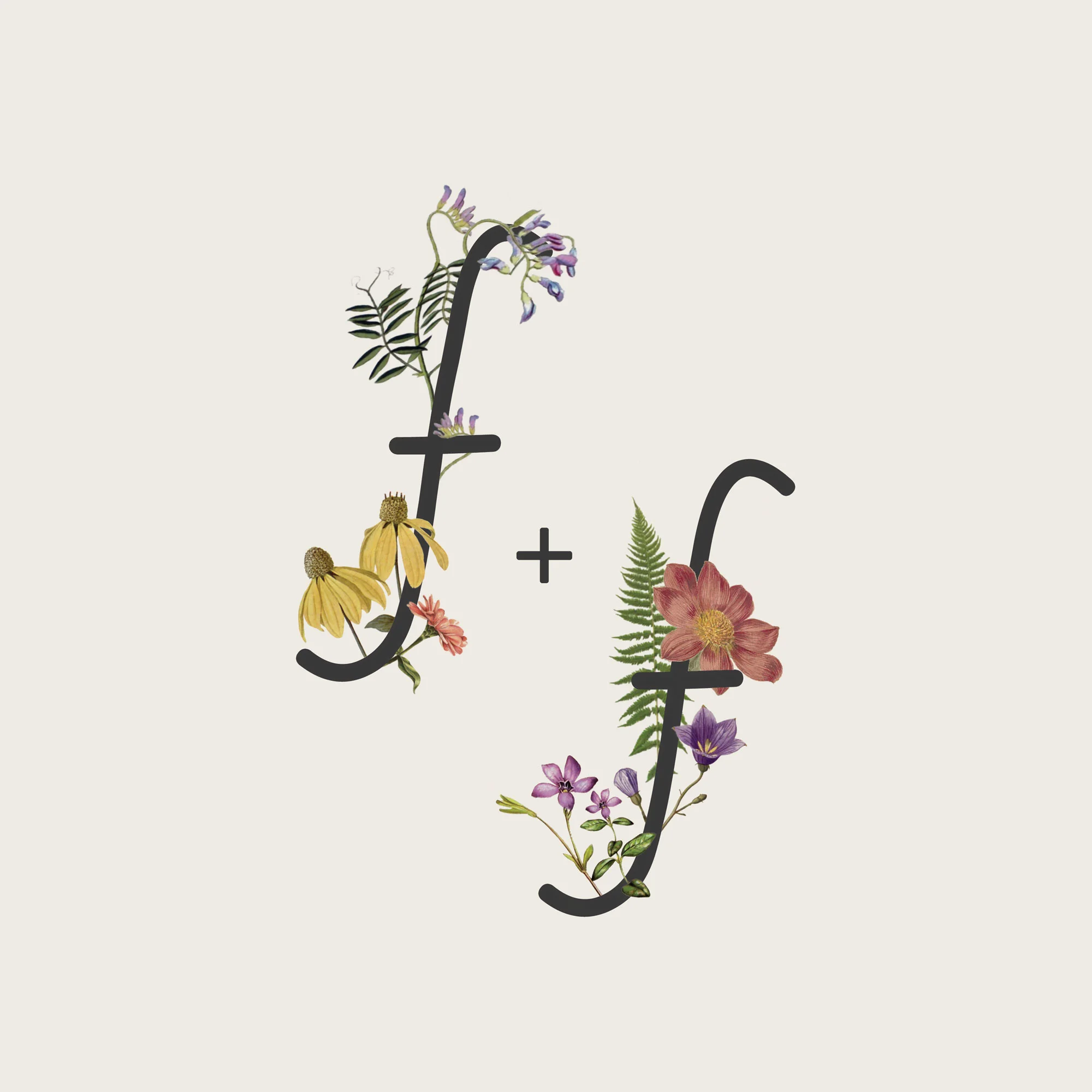 Hudson Valley NY Branding Bea Rue Vintage Botanical Design Florist Logo Fern and Fawn Flowers.jpg