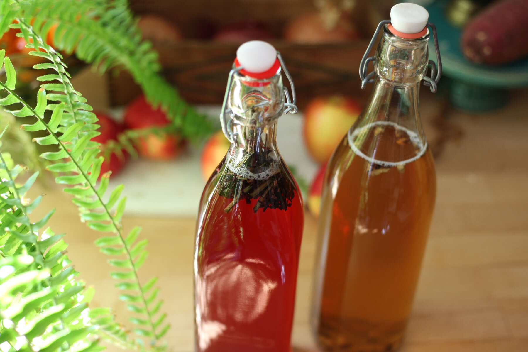 Homebrew Kombucha