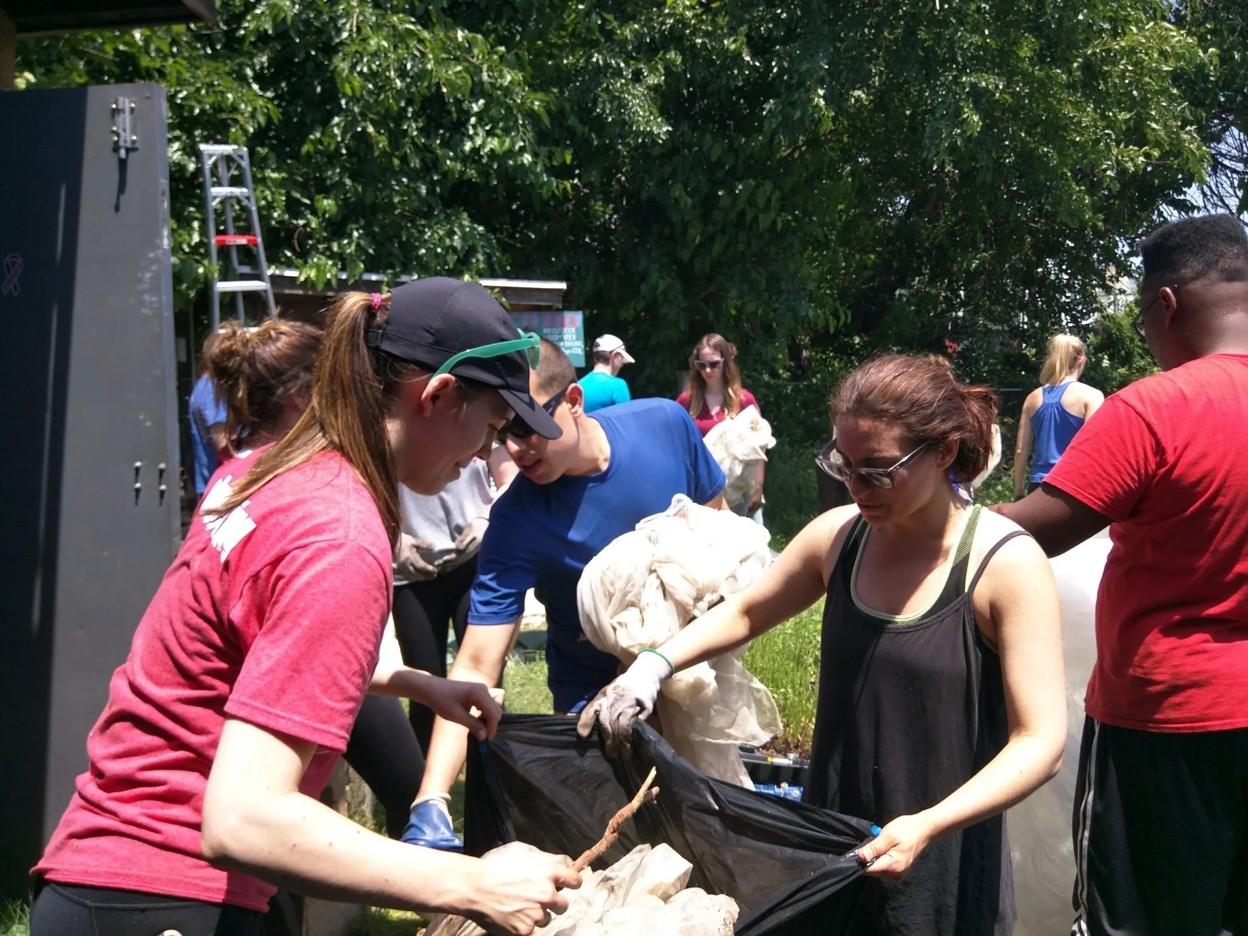 IMG_20170610_131255.jpg
