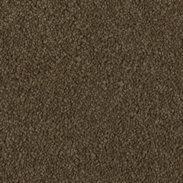 carpet-apolloridge-burnishedsuede-floor-sprucedup.jpg