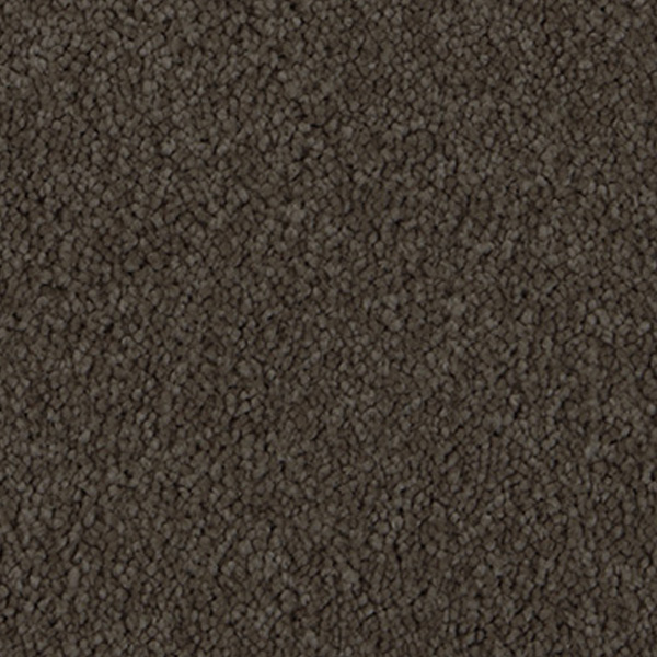 carpet-apolloridge-mystic-brown-floor-sprucedup.jpg