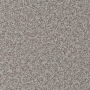 carpet-natural_trends-silver_mist-floor-godfrey_hirst_carpet.jpg