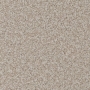 carpet-natural_trends-miasma-floor-godfrey_hirst_carpet.jpg