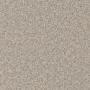 carpet-natural_trends-bone-floor-godfrey_hirst_carpet.jpg