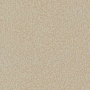 carpet-natural_trends-sand_dune-floor-godfrey_hirst_carpet.jpg