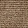 carpet-caribbean-cayman-floor-godfrey_hirst_carpet_small.jpg