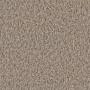 carpet-bellavista-cool_taupe-floor-godfrey_hirst_carpet_small.jpg
