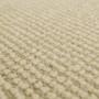 carpet-ravine-sandy-shore-floor-godfrey_hirst_carpet_small.jpg