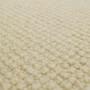 carpet-ravine-natural-floor-godfrey_hirst_carpet_small.jpg