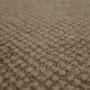 carpet-ravine-brindle-floor-godfrey_hirst_carpet_small.jpg