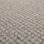 carpet-ravine-ash-floor-godfrey_hirst_carpet_small.jpg