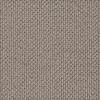 carpet-stonefields-stone_beige-swatch-feltex_classic_carpets_small.jpg