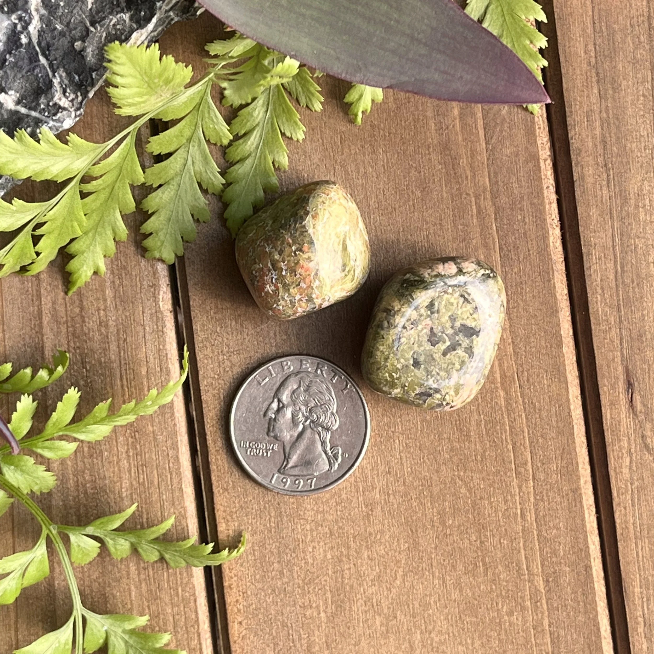 Unakite Jasper tumbled gemstones