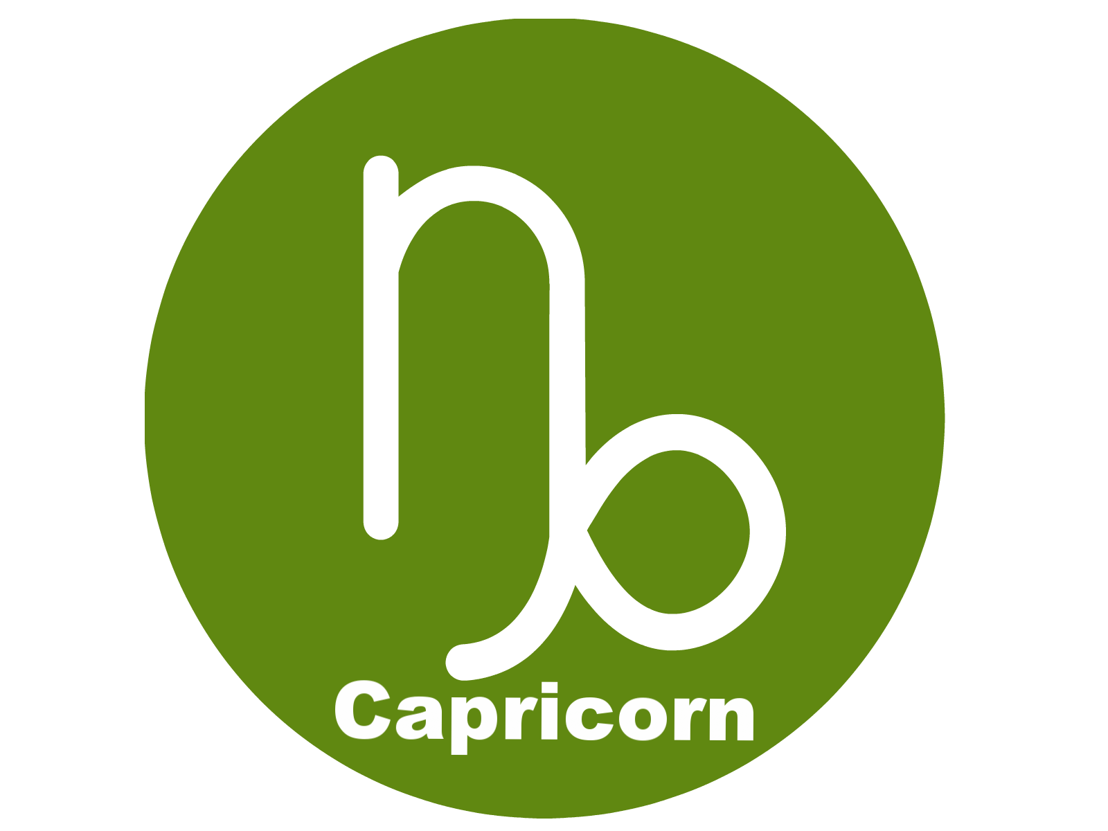 Capricorn Zodiac Sign