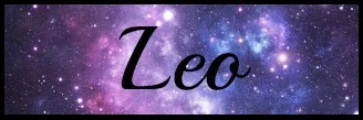 leo space banner.jpg