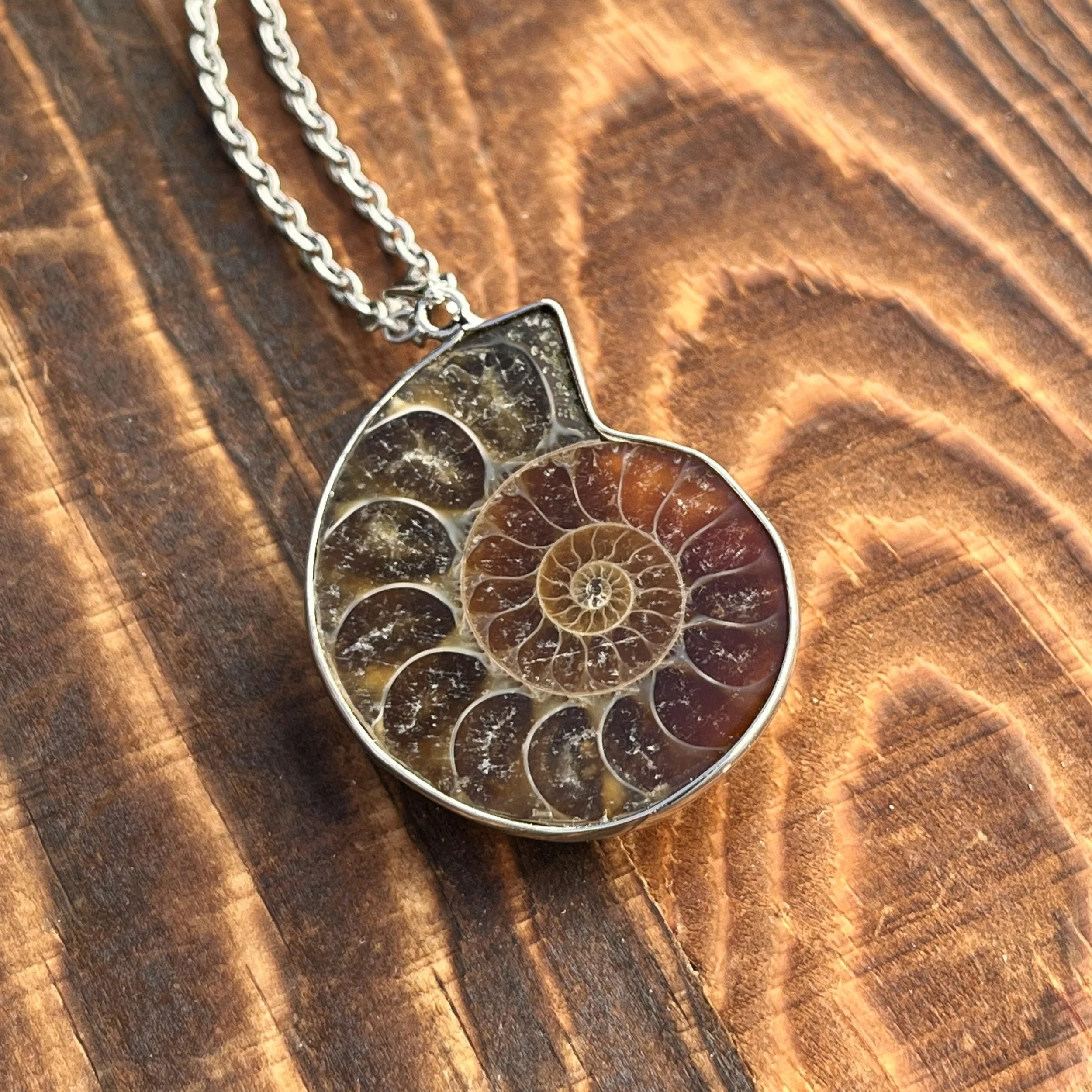 10 Pieces Natural Ammonite Fossil Pendants - For Chakra, Reiki & Energy Healing