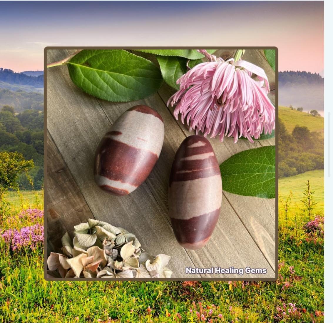 These stones are called Shiva Lingam eggs. They bring yin/yang balance, spiritual expansion, enlightenment, and creativity. 

https://www.naturalhealinggems.com/gems/shiva-lingam-egg

#shivalingam #shivalingamstone #naturalhealingems #gemstone #heali