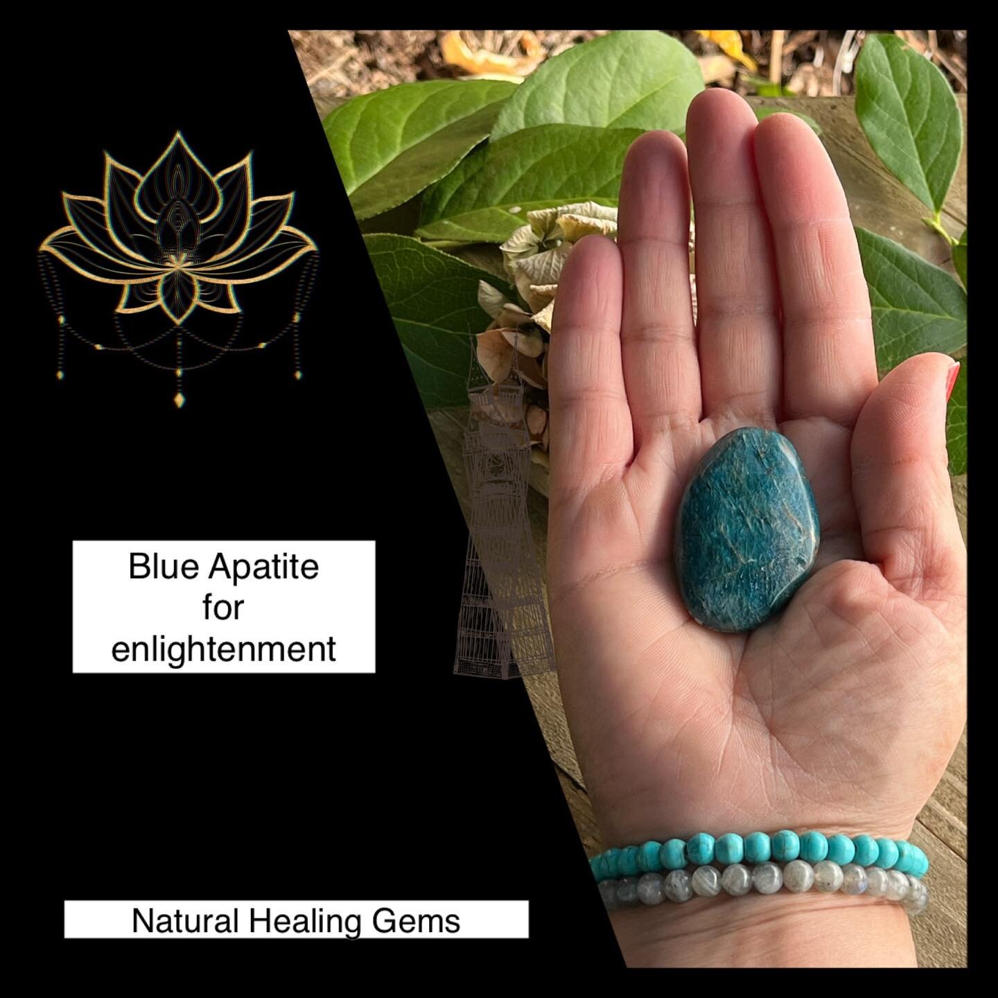 Blue Apatite 🩵 enlightenment 💙 manifestation 🩵 clarity 🕉️ Third Eye and Throat chakra healing.
#naturalhealinggems #gemstones #crystals