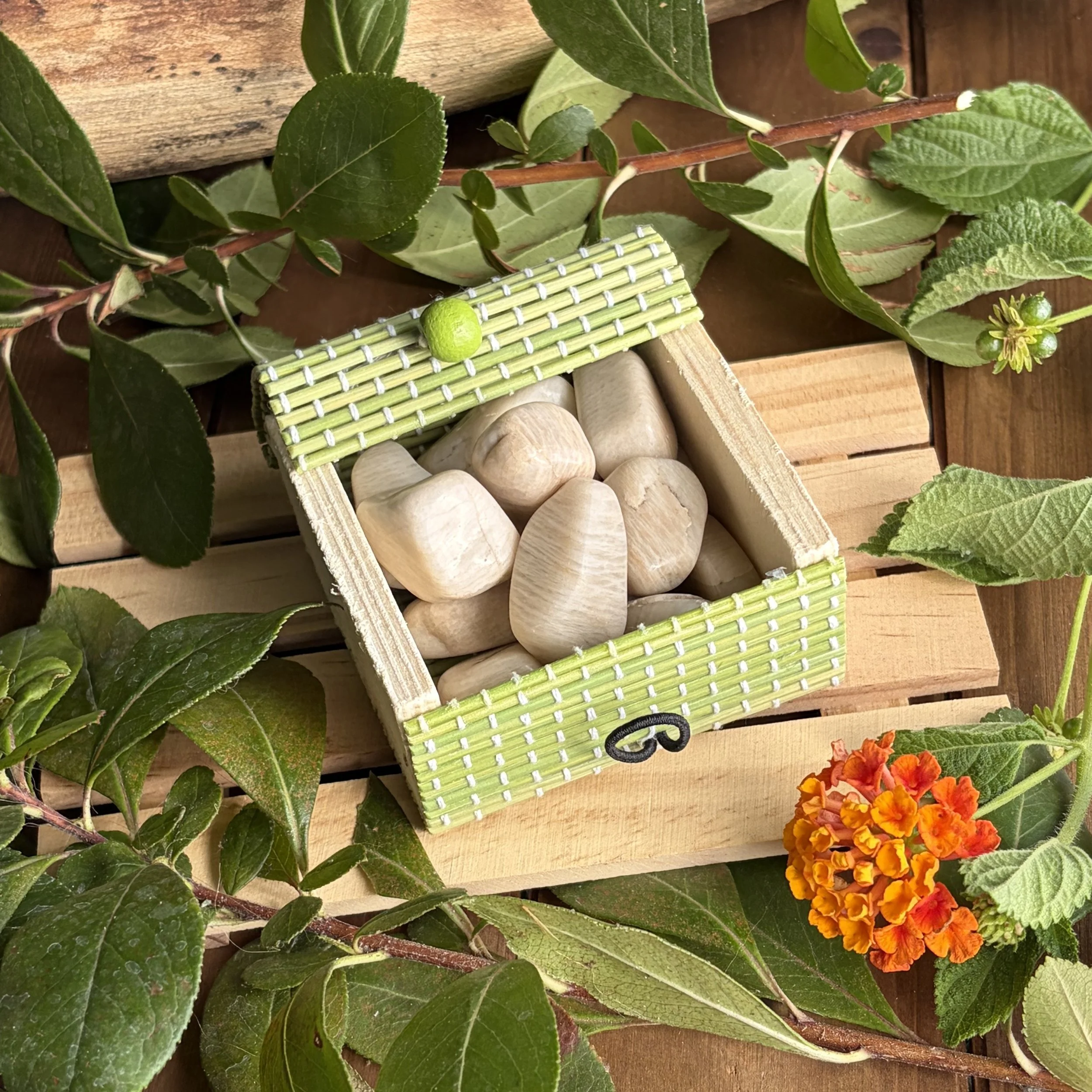 Moonstone collection box