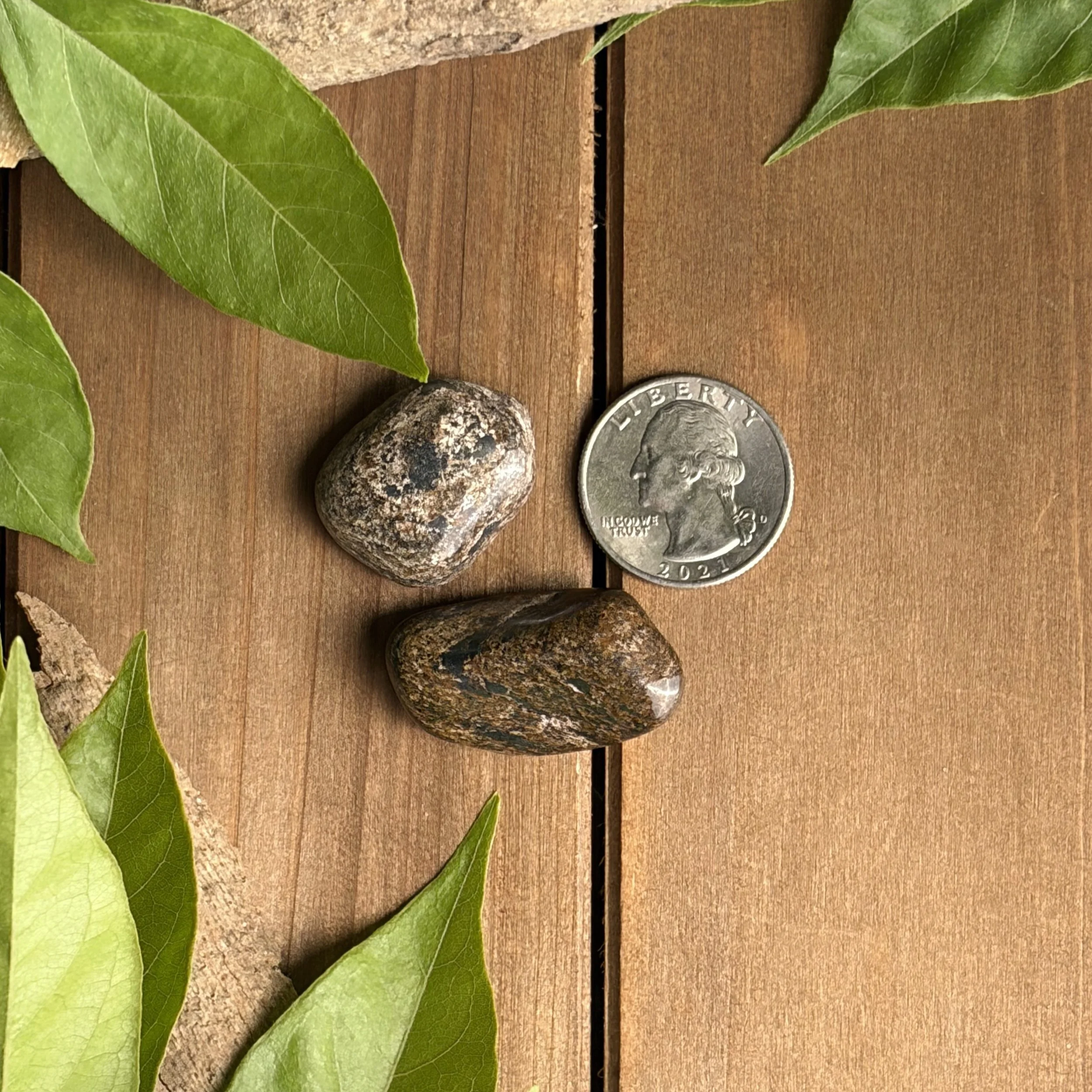 Bronzite tumbled gemstones
