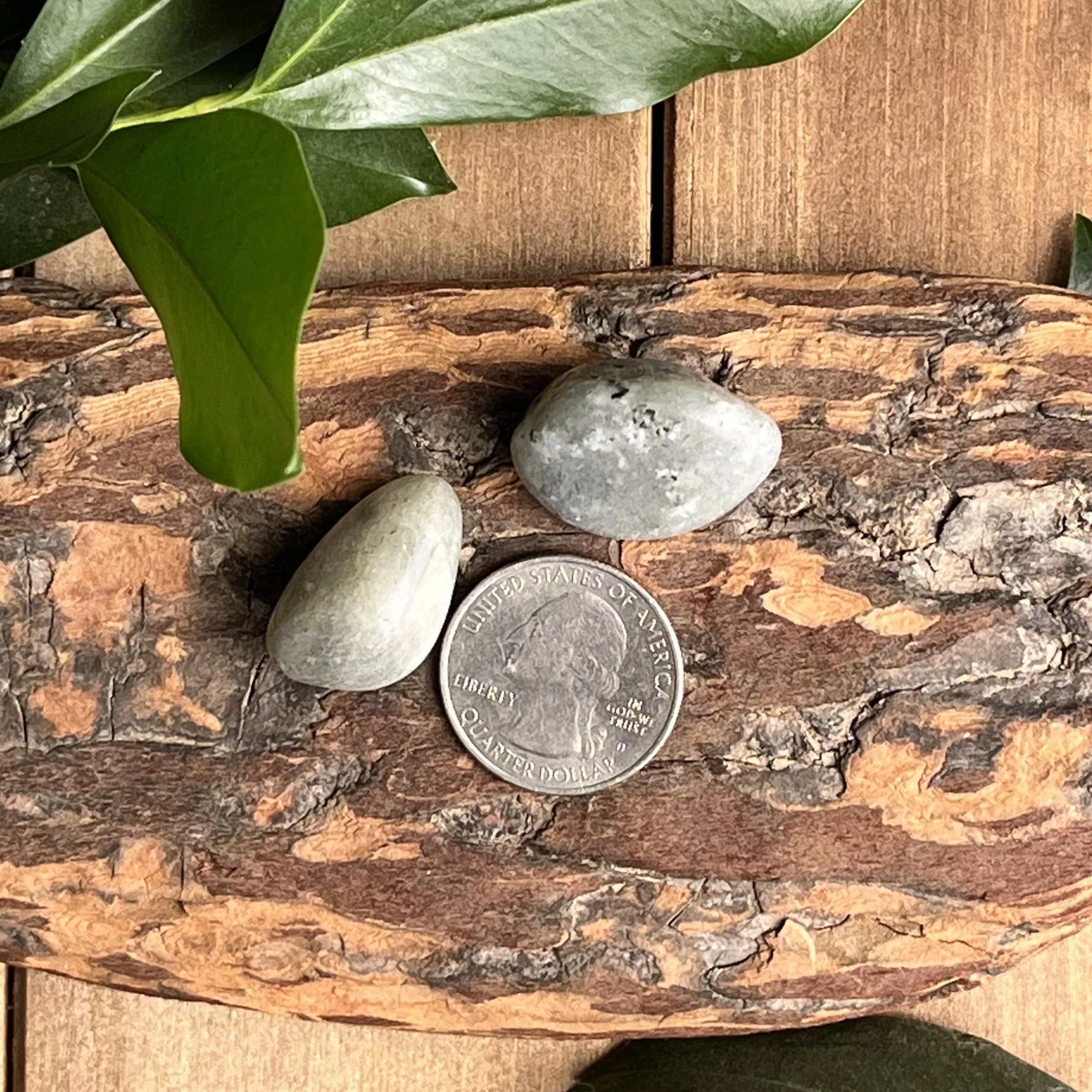 Labradorite tumbled gemstones