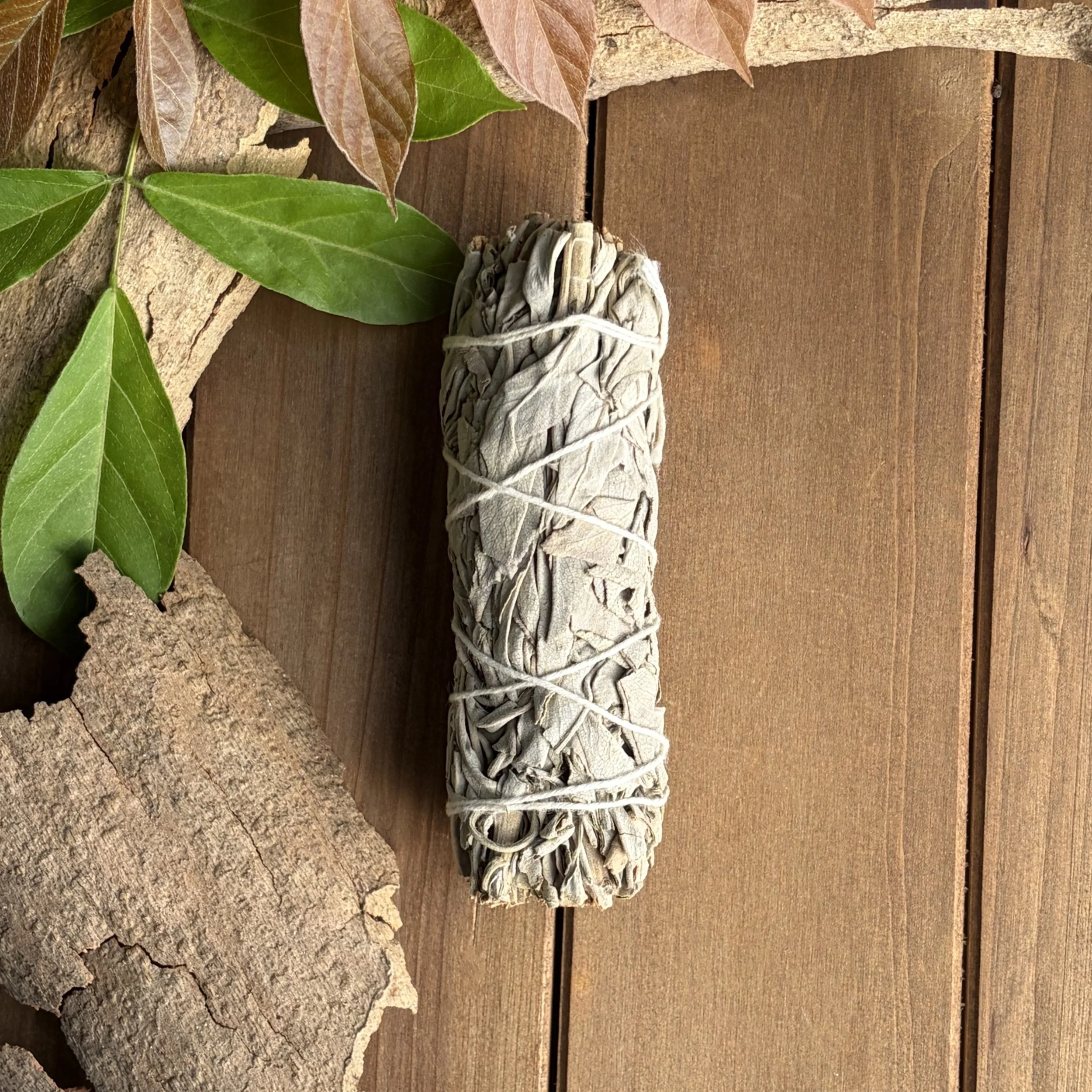 white sage smudge stick